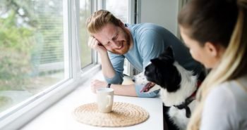 Animais em apartamento