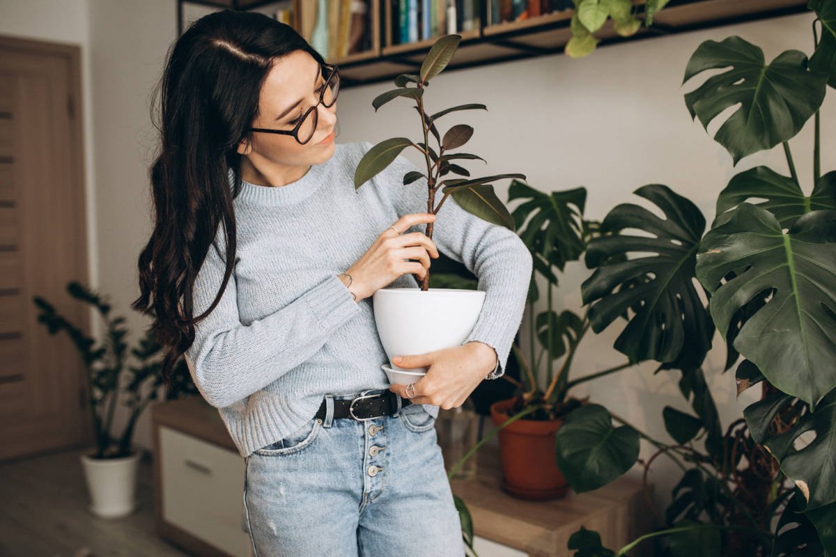 Jardim em casa: aprenda como fazer